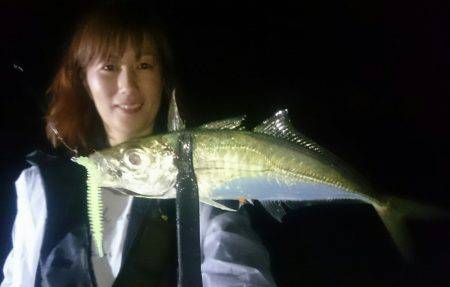 シースナイパー海龍 釣果