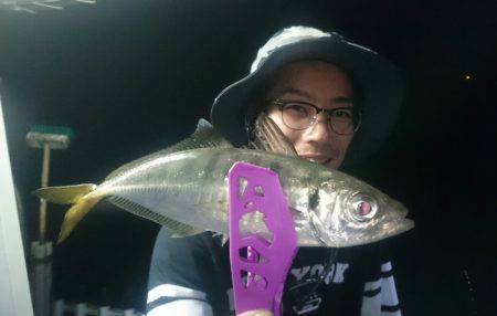 シースナイパー海龍 釣果