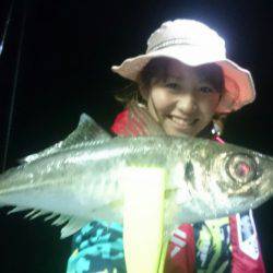 シースナイパー海龍 釣果