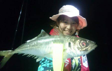 シースナイパー海龍 釣果