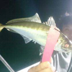 シースナイパー海龍 釣果