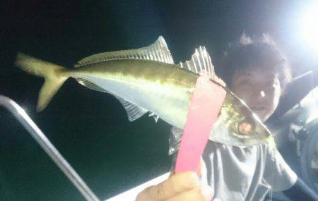 シースナイパー海龍 釣果