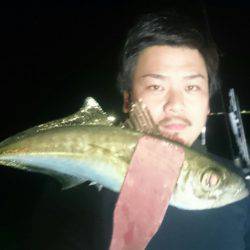 シースナイパー海龍 釣果