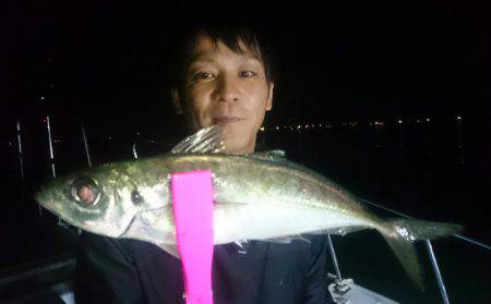 シースナイパー海龍 釣果