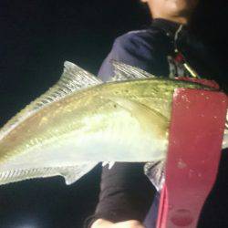 シースナイパー海龍 釣果