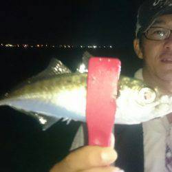 シースナイパー海龍 釣果