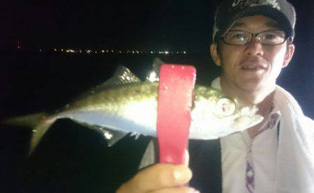 シースナイパー海龍 釣果