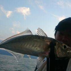 シースナイパー海龍 釣果