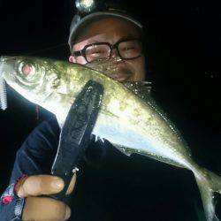 シースナイパー海龍 釣果