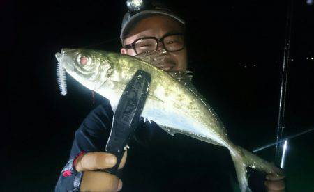 シースナイパー海龍 釣果