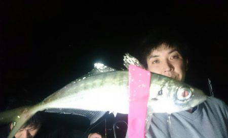 シースナイパー海龍 釣果