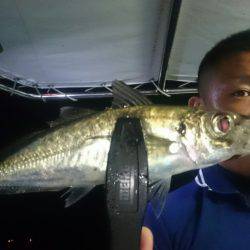 シースナイパー海龍 釣果