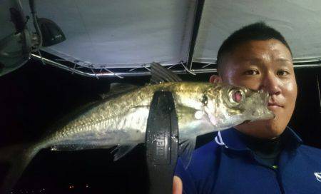 シースナイパー海龍 釣果