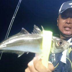 シースナイパー海龍 釣果