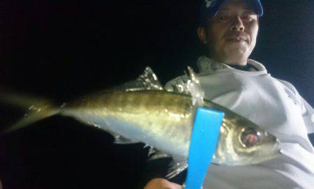 シースナイパー海龍 釣果