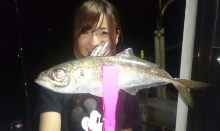 シースナイパー海龍 釣果