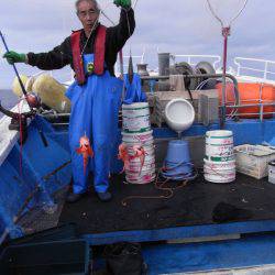 芳陽丸 釣果