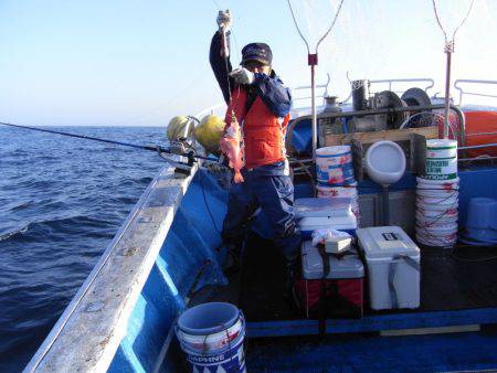芳陽丸 釣果