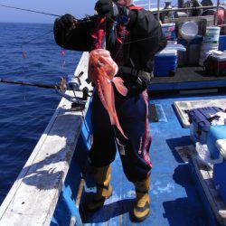 芳陽丸 釣果