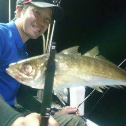 シースナイパー海龍 釣果