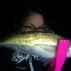 シースナイパー海龍 釣果