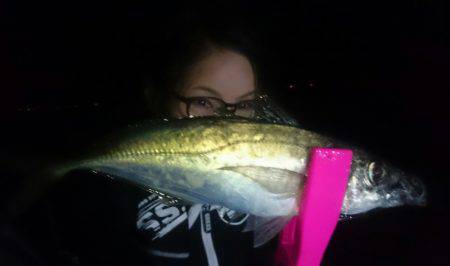 シースナイパー海龍 釣果