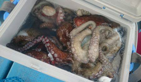 シースナイパー海龍 釣果