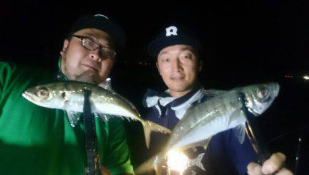 シースナイパー海龍 釣果