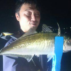 シースナイパー海龍 釣果