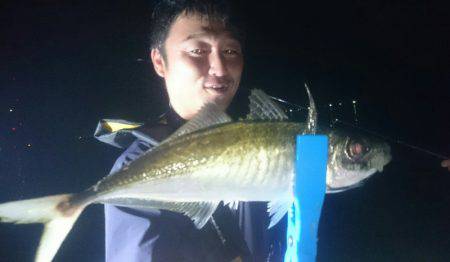 シースナイパー海龍 釣果