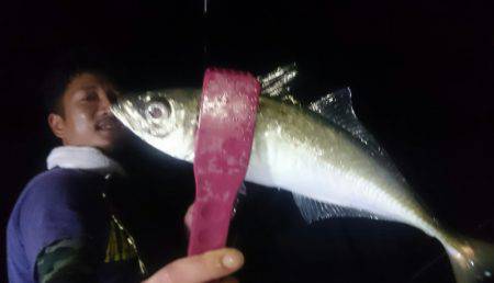 シースナイパー海龍 釣果