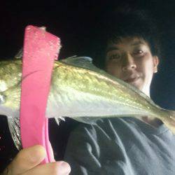 シースナイパー海龍 釣果