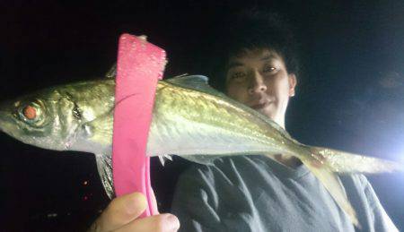 シースナイパー海龍 釣果