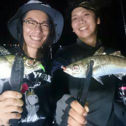 シースナイパー海龍 釣果