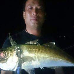 シースナイパー海龍 釣果