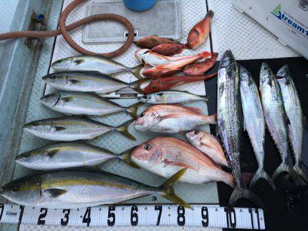 オーシャンスター(Ocean Star) …