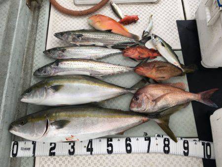 オーシャンスター(Ocean Star) …