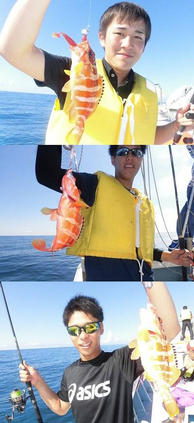 WILDⅡ 釣果