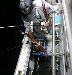 第二清洋丸 釣果