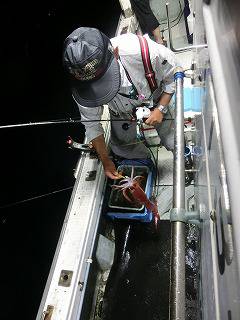 第二清洋丸 釣果