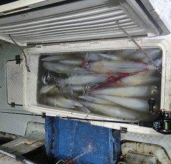 第二清洋丸 釣果