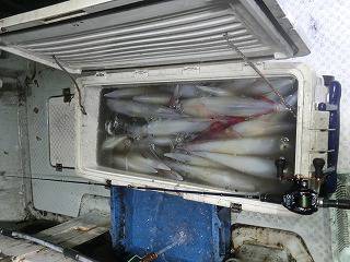 第二清洋丸 釣果