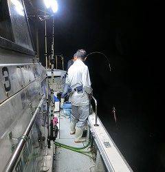 第二清洋丸 釣果