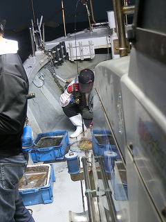 第二清洋丸 釣果