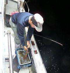 第二清洋丸 釣果