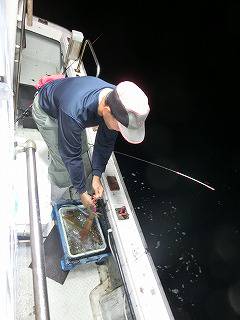 第二清洋丸 釣果