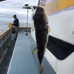 えさ政釣船店 釣果