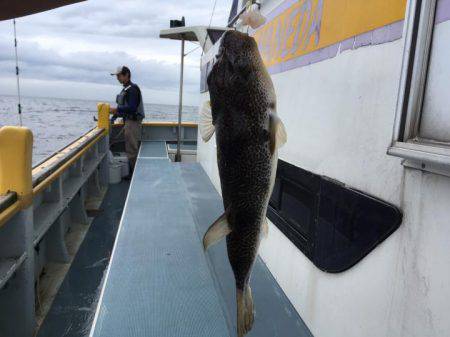 えさ政釣船店 釣果