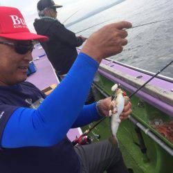 えさ政釣船店 釣果