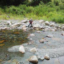 安倍川・藁科川（安倍藁科川漁業協同組合） 釣果